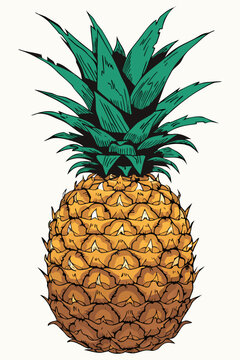 A fresh ripe tropical pineapple fruit isolated on a white background, featuring juicy yellow flesh and green leaves as a healthy, exotic, and sweet raw food object.