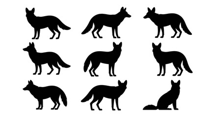 Obraz premium Collection of black silhouettes of wolves in various dynamic poses Vector