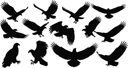 Obraz premium Eagle silhouettes collection, flying birds of prey set, black raptor shapes, wildlife illustration, powerful wings, hunting pose, isolated design