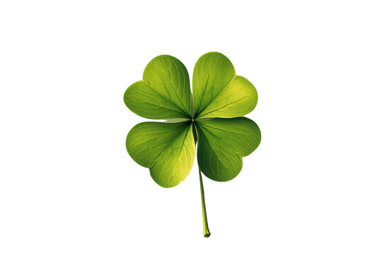 Four-leaf clover symbolizing luck and fortune, a green plant bringing good luck, isolated on transparent background