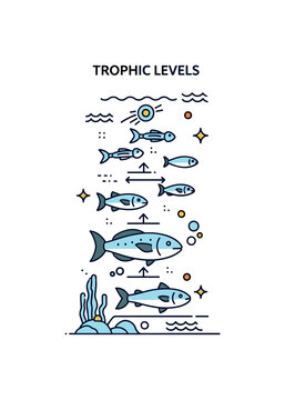 Trophic levels deep-sea ecosystem concept where bioluminescent plankton, fish, and larger predators are arranged in vertical layers while tiny sparkle and wave