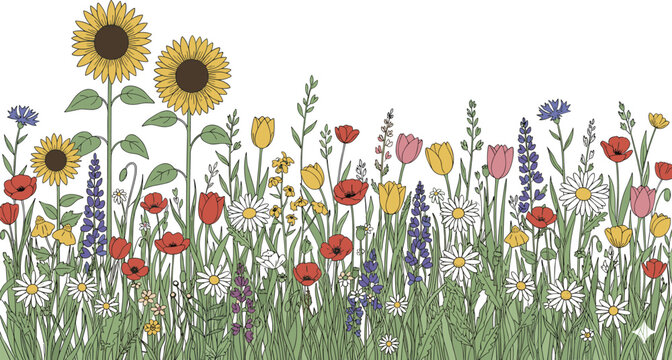 Flat vector illustration of diverse meadow wildflowers including sunflowers tulips poppies and daisies in line art style.