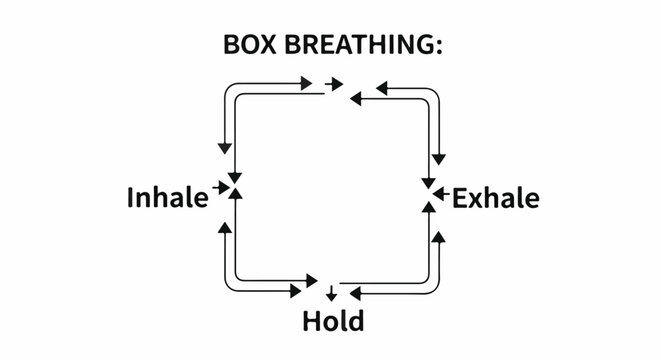 Diagram illustrating the four stages of box breathing inhale, hold, exhale, and hold