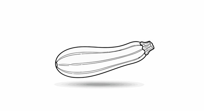 Simple line drawing of a long, thin zucchini with subtle shading