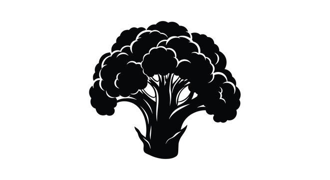 A stark black and white illustration depicts a single head of broccoli showcasing its florets