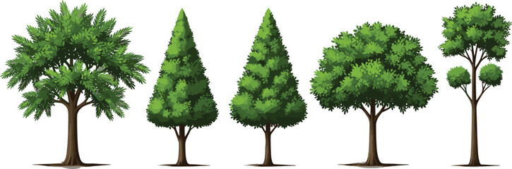 Obraz premium Set of five different green tree illustrations featuring various shapes like conical and round isolated on white background for landscape design and architecture.