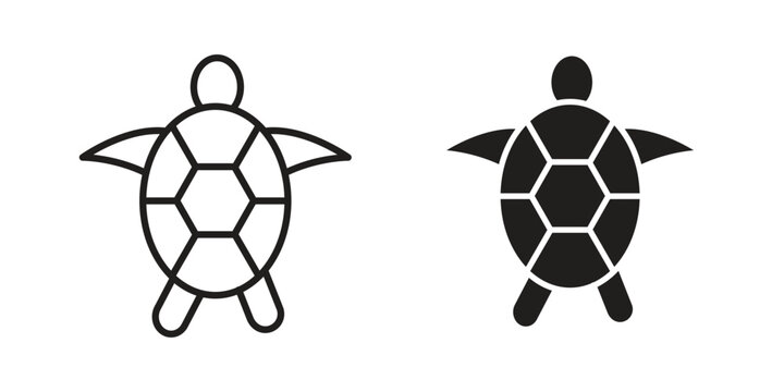 Sea turtle icon. modern vector symbols set