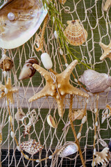 Natural sea star with diverse shells on a nautical net layout. Vivid colors of nature. © Anna