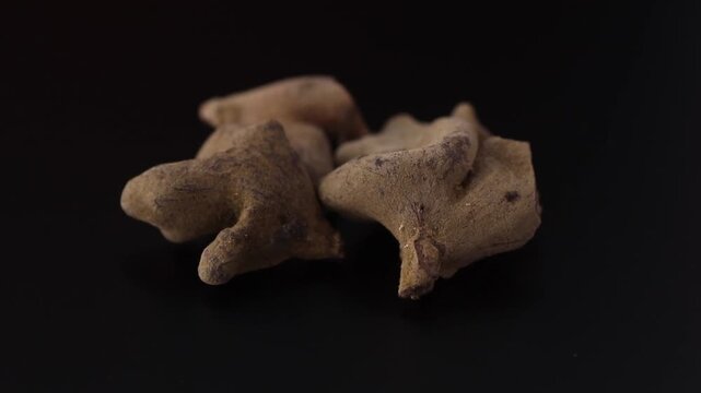 rhus chinensis - Chinese sumac