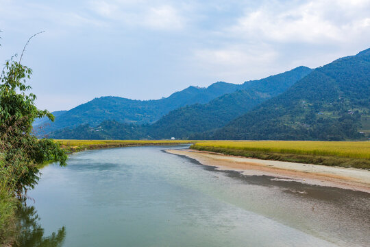 Marsh of Phewa Lake in Pokhara, Nepal