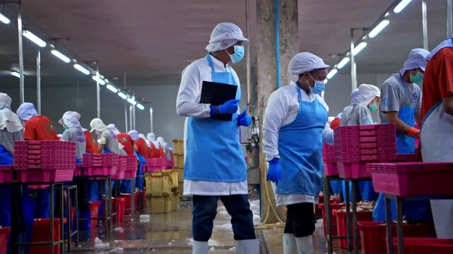 Both of quality control officer inspecting raw fish materials in a seafood processing factory before entering the production line