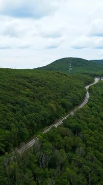 Vertical aerial flyover of Mohawk Trail Road surrounded by lush forest greenery and Berkshires mountains - Massachusetts, USA