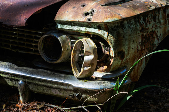 Car wreck abandoned in the Ocala forest