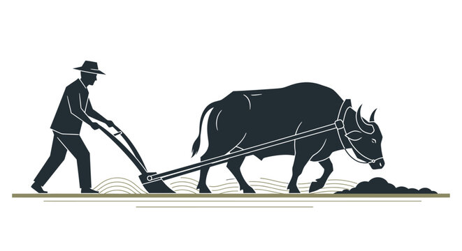 Man plowing field with oxen team.