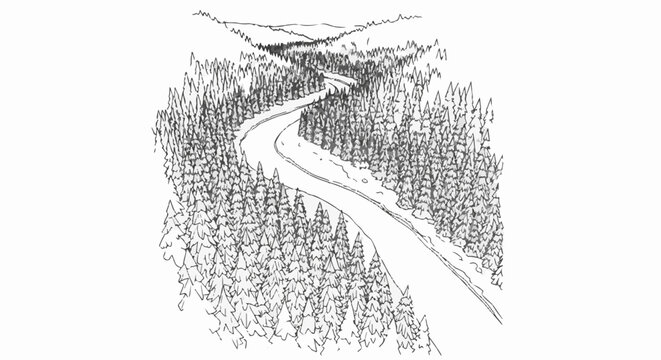Winding road through a dense, snow-dusted evergreen forest