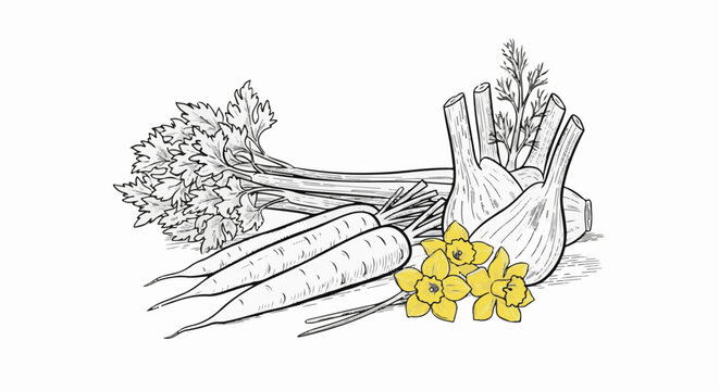 A sketch of carrots, celery, fennel, and daffodils on a white background