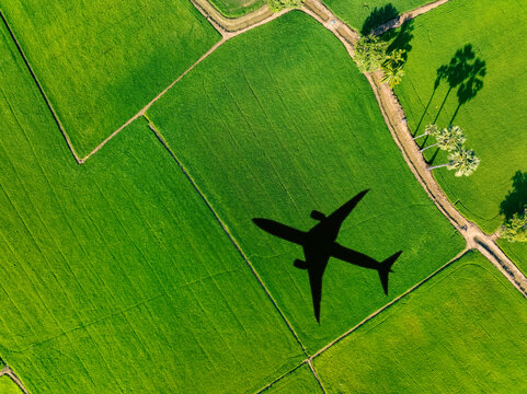 Shadow airplane flying above green field. Sustainable aviation fuel. Sustainable transportation and eco-friendly flight with biofuel use. Aviation sustainability. Air travel. Reduce carbon footprint.