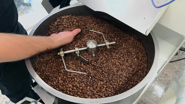 Medium Shot of Unrecognizable Professional Coffee Roaster Hand Scooping and Rubbing Freshly Roasted Brown Beans from Rotating Stainless Steel Cooling Tray Mechanism for Quality Control inside Factory