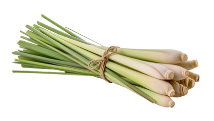 Bundle of fresh green lemongrass stalks tied with rustic twine, isolated on transparent background for culinary recipes and herbal remedies © Julie
