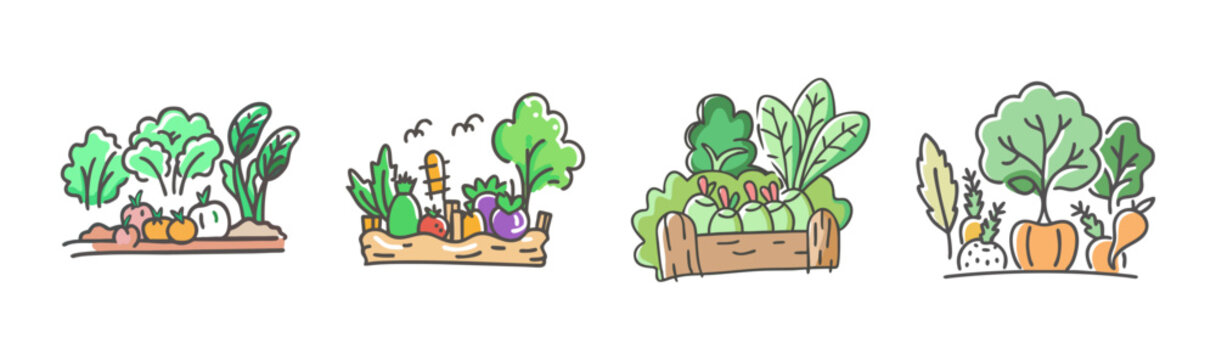 Hand-drawn garden vegetable patch illustrations, organic farm produce in wooden crates, rustic homegrown vegetable garden SVG set