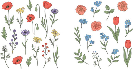 Fototapeta premium Hand drawn wildflowers vector set with floral botanical elements roses tulips and meadow plants collection for spring design wedding decoration and nature illustration