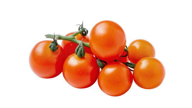 Vibrant ripe cherry tomatoes clustered on a green vine, isolated on transparent background for healthy food advertising and recipe designs