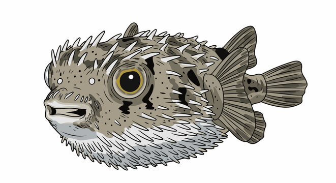 A spiky, cartoonish pufferfish with round yellow eyes and a gaping mouth, detailed illustration