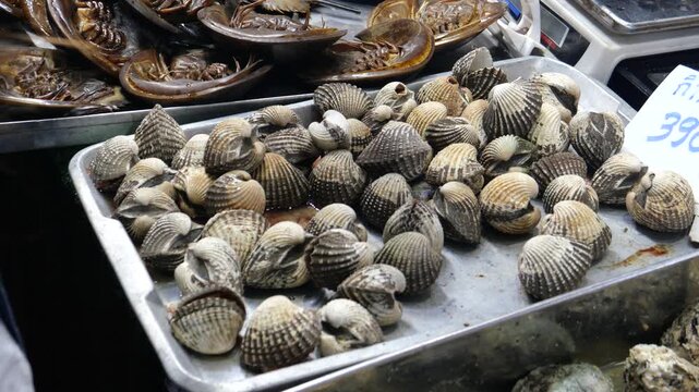 Horseshoe crabs and blood clams for seafood
