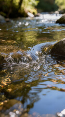 Fototapeta premium Clear transparent water with sunlight reflections, ripples and flow in nature; suitable for banner, article, background, web design and ecology themes. 