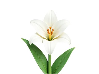 Obraz premium A single white flower with green leaves in a simple glass vase