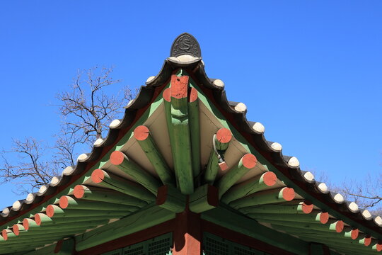 the roof of the korean temple