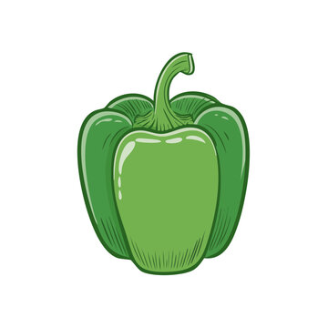 Vibrant Green Bell Pepper Isolated Graphic Representation of a Healthy Vegetable