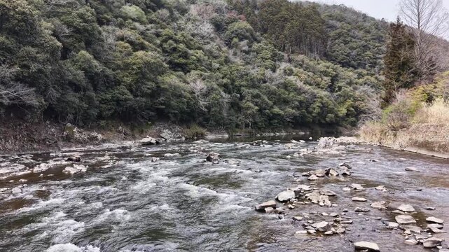 Drone flying forward at low altitude over river in forest, scenic nature 30s 4K