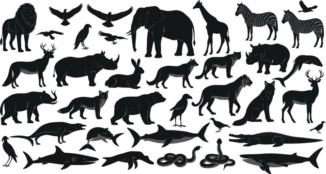 Animal silhouette collection, wildlife and marine species, forest creatures, black vector art, nature diversity, taxonomy reference, predator, prey, habitat icons