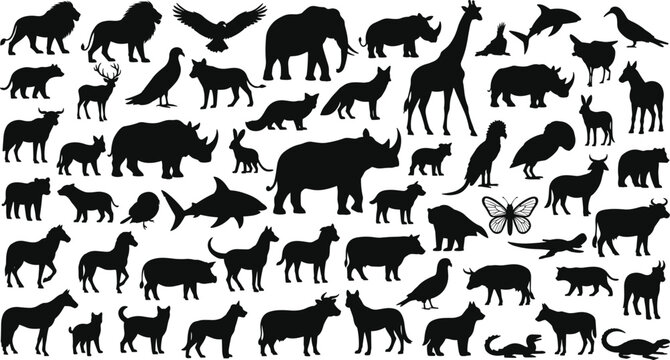 Animal silhouette collection, wildlife, domestic pets, birds, marine life, insects, reptiles, black vector icons, nature diversity, taxonomy reference