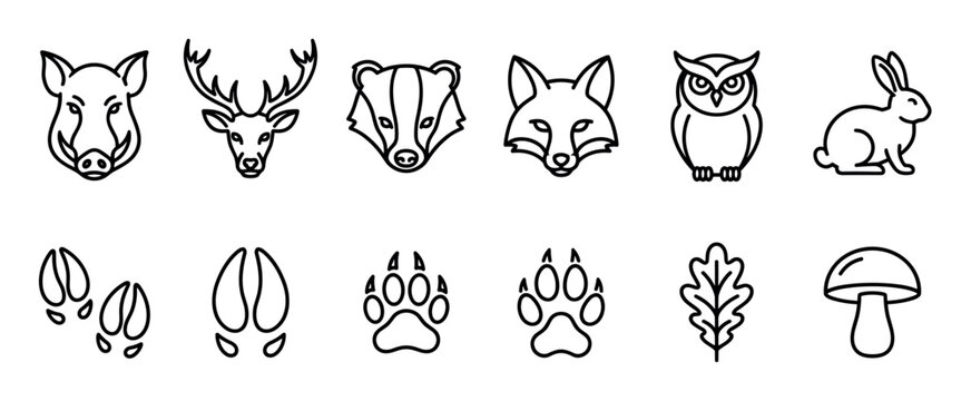 Set of forest animal line icons featuring a wild boar, deer, badger, fox, owl, and rabbit with their corresponding tracks, an oak leaf, and a mushroom in a minimalist style