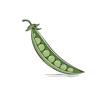 Illustration of a single green pea pod split open revealing round, ripe peas inside on a white background