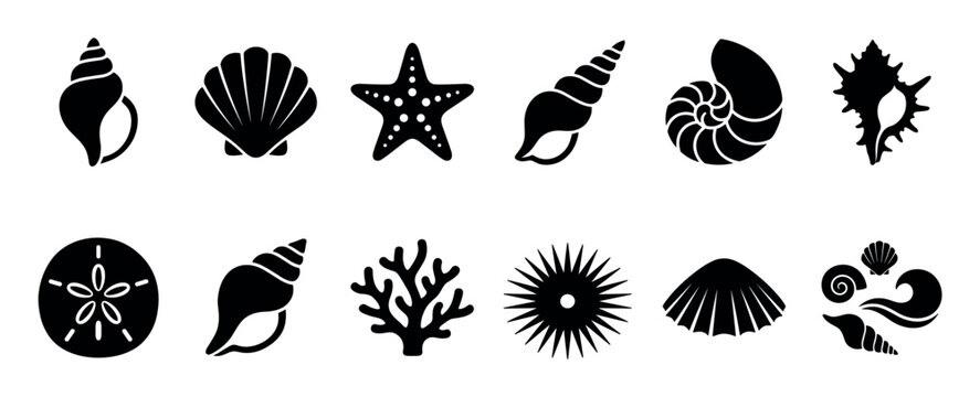 Black seashell and marine life silhouette icons in a minimalist graphic set, featuring a starfish, sand dollar, sea urchin, coral, scallop, and various conch shell designs