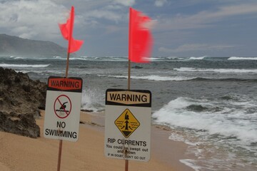 plaża na wyspie Oceanu Spokojnego © Dariusz