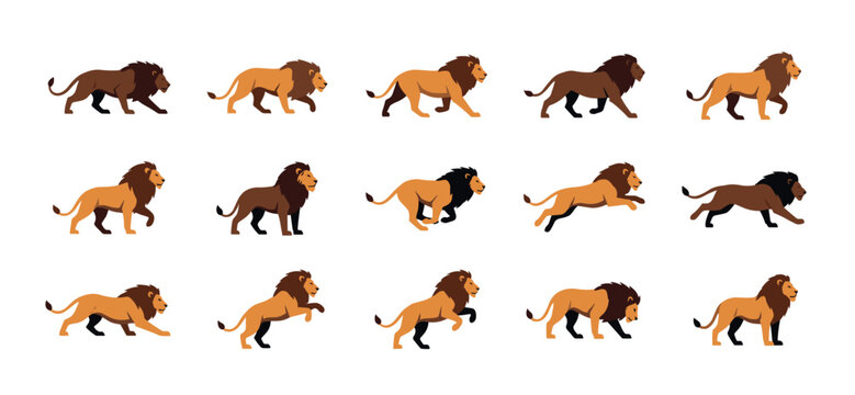 Collection of male lion character illustrations in various dynamic poses, showing a complete animation cycle sequence with walking, running, stalking, and jumping movements