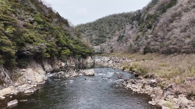 Aerial drone low altitude forward shot over forest river, scenic landscape 4K