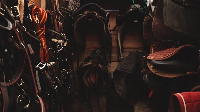 A variety of saddles on display