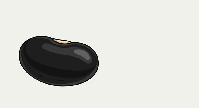 Single black bean, glossy surface, small white hilum visible. Black bean isolated on clean white background, showcasing smooth texture and dark color.
