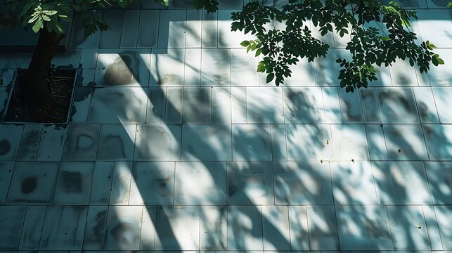 serene white tiled floor with tree shadows and green leaves