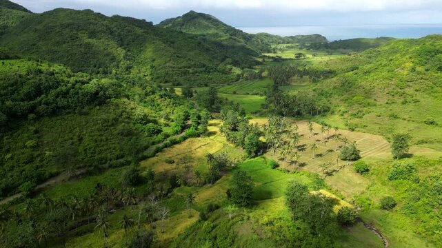 Drone panning over a lush green valley. Small river running through the valley with palm trees and small patches of farm land. Ocean in the far distance