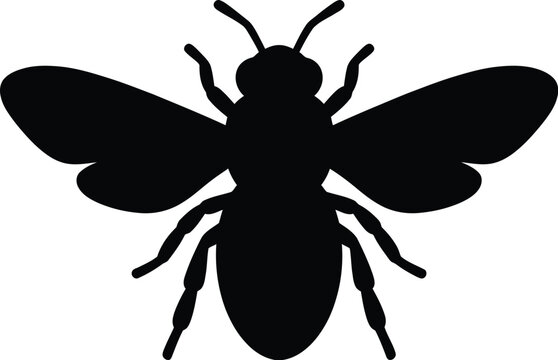 Black silhouette of a bee with spread wings and six legs on a white background illustration
