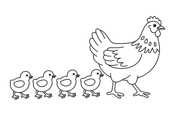Fototapeta premium Vector of a mother hen with four baby chicks walking together