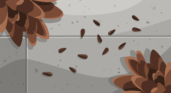 Scattered pine cone seeds on a textured grey stone surface