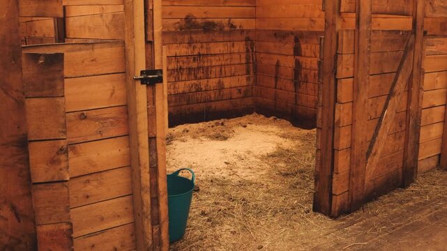 A horse stall with a bucket of fresh hay inside, suitable for farm or rural themed projects
