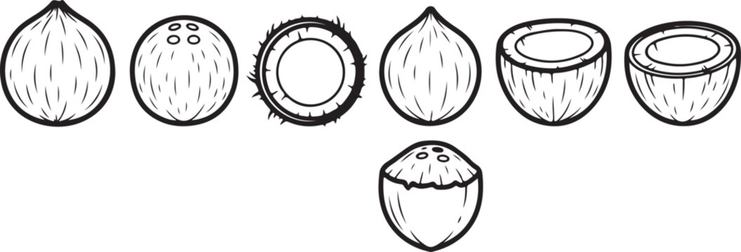 Line art progression of a baseball from sketch to finished ball Vector